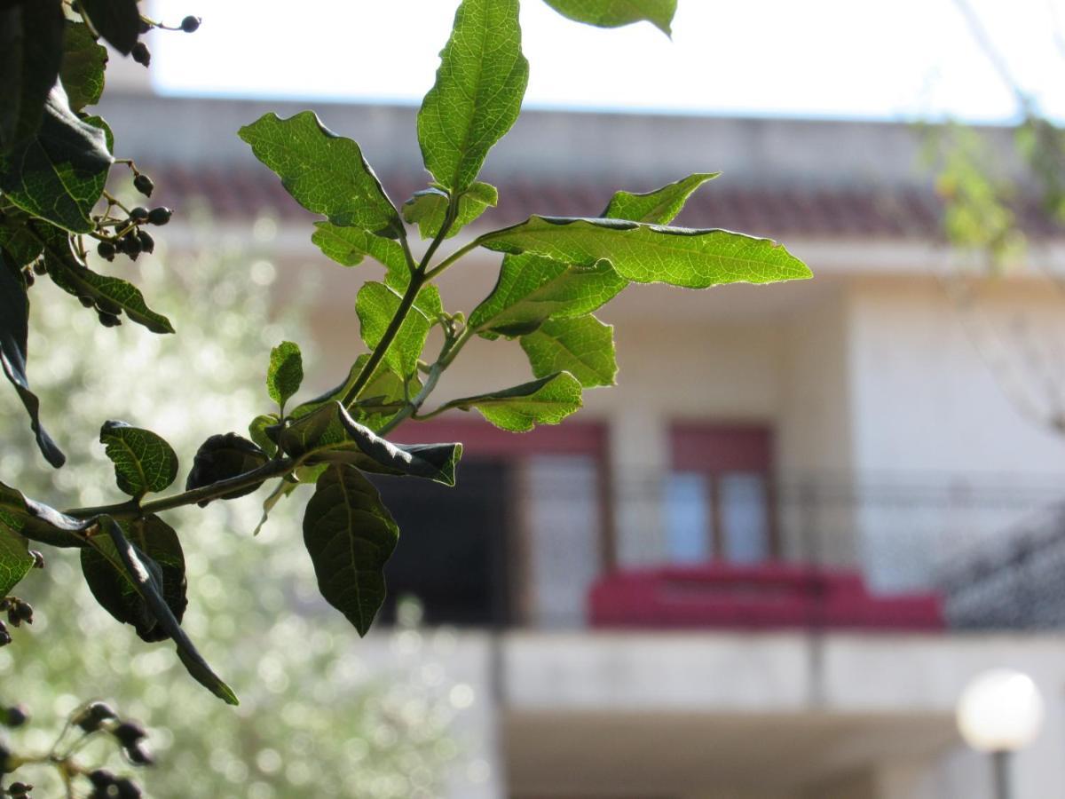 Casa Il Giovane Alloro มาร์ตินาฟรังกา ภายนอก รูปภาพ